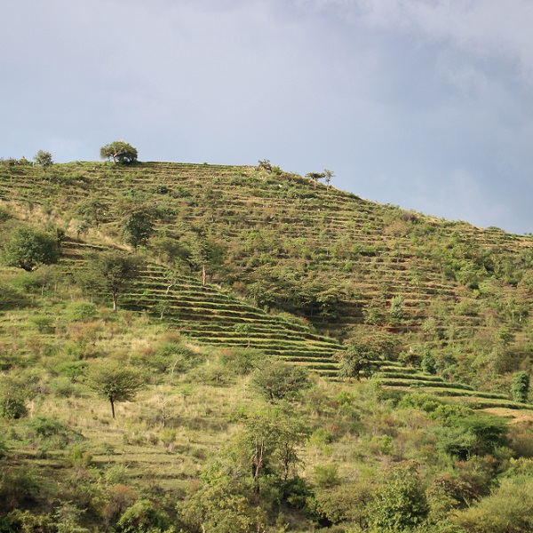 Konso Terraces